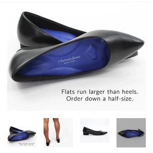 NIB! Antonia Saint New York ‘Jane Autumn’ Flat - 7 Wide